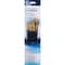 Princeton™ RealValue™ Golden Taklon Brush Set With Rounds & Angle Shaders